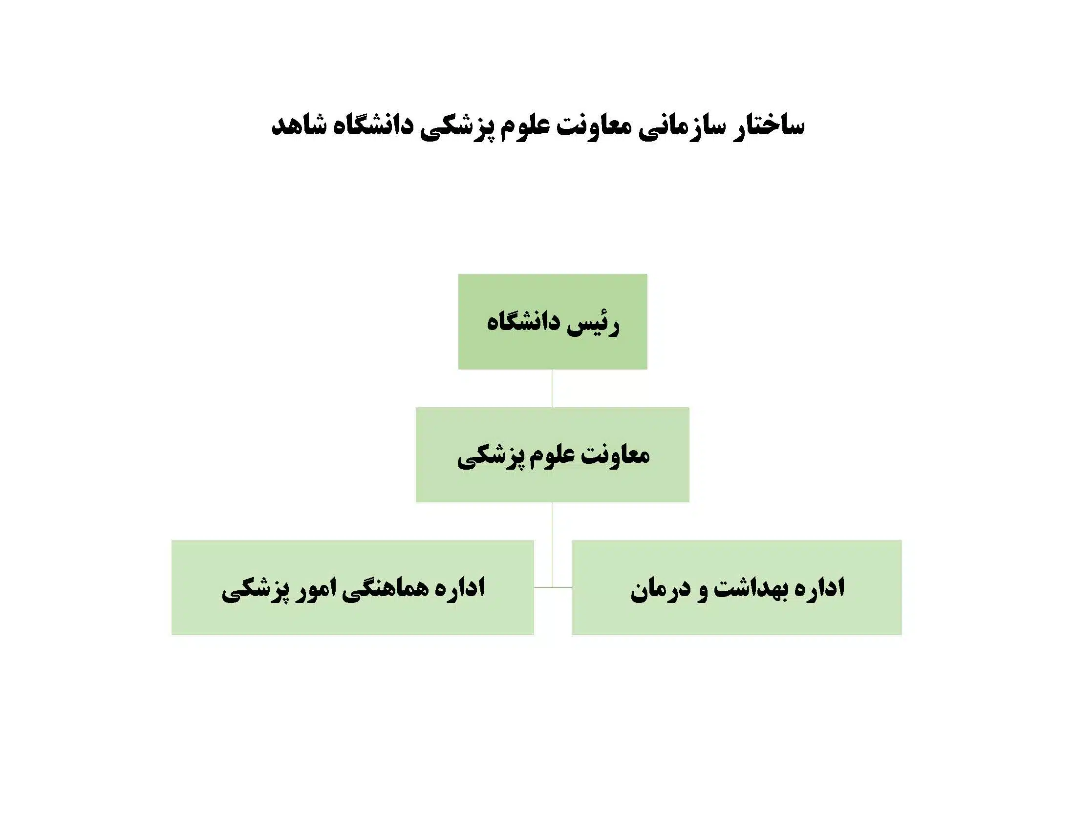 ساختار سازمانی معاونت علوم پزشکی دانشگاه شاهد